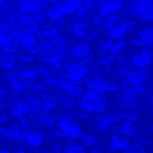 Meet your Posher, Martin